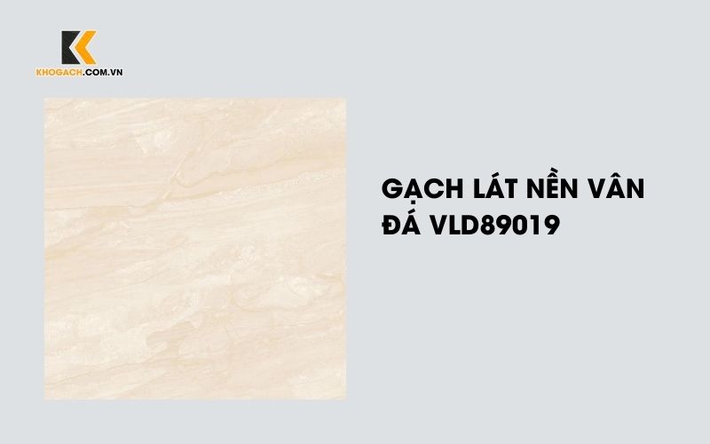 Gạch lát nền vân đá VLD89019