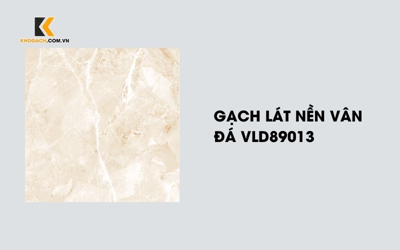 Gạch lát nền vân đá VLD89013