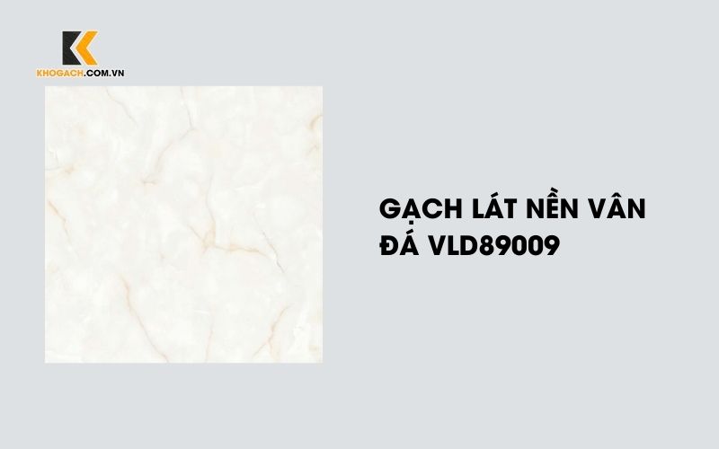 Gạch lát nền vân đá VLD89009